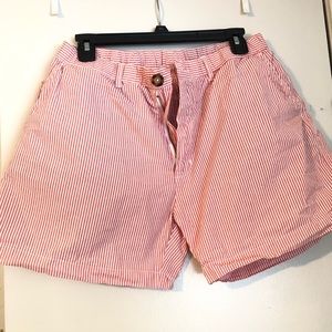 CHUBBIES Striped Classic Seersucker 5.5” Inseam - Large